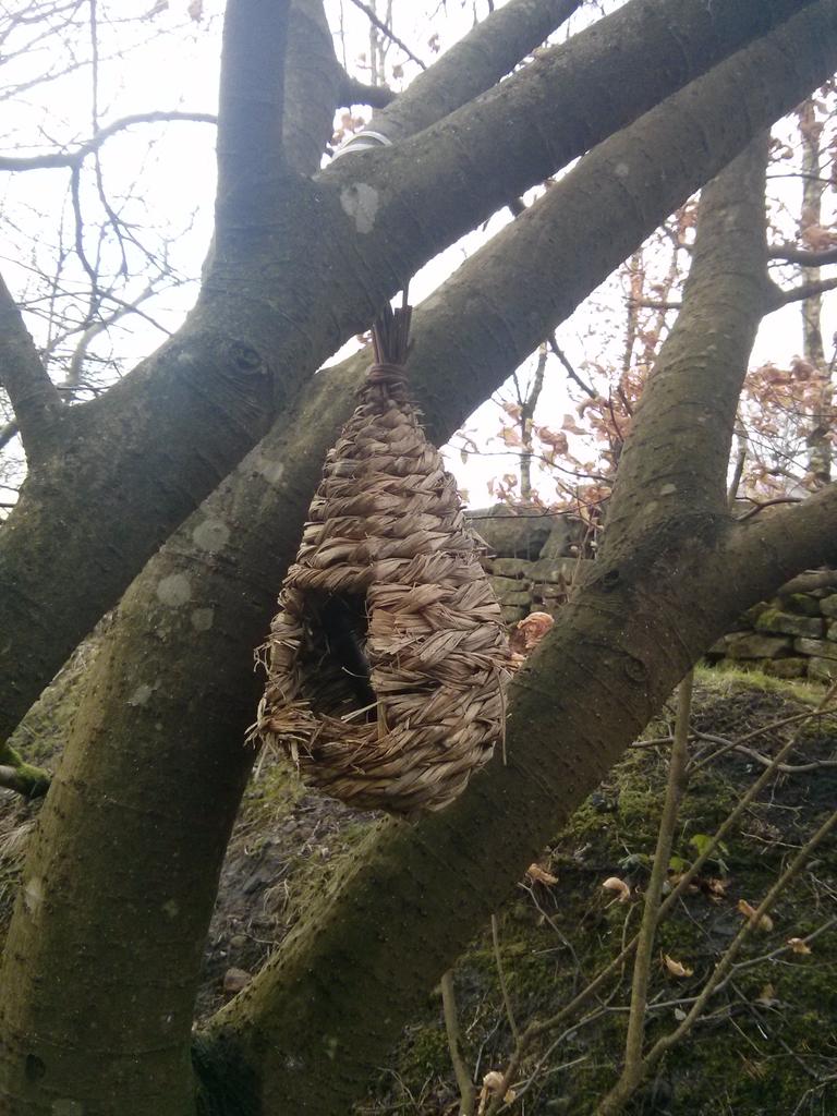 GeoBoxUK tweet picture