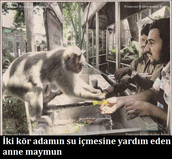 B8JLUt7CQAA51Ry.jpg
