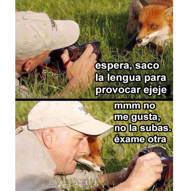 yisucrist's tweet photo. las zorras exándose fotos http://t.co/q3GTvlKMFr