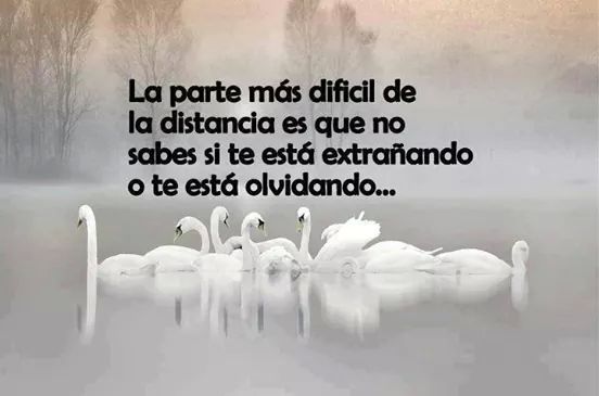 MujerLes's tweet photo. http://t.co/LzY4aIUivw