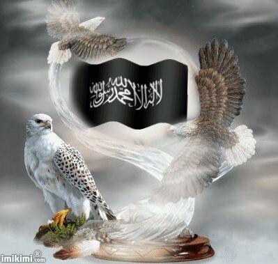 ﻻ إله إلا الله محمد رسول الله