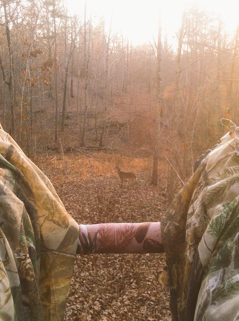 StarlynWingard's tweet image. S/o to this spike for standing Infront of me for thirty minutes knowing I can't shoot you 😅 #tolittle