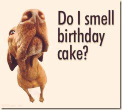 Happy Birthday to the awesome . Enjoy your special day and have fun 