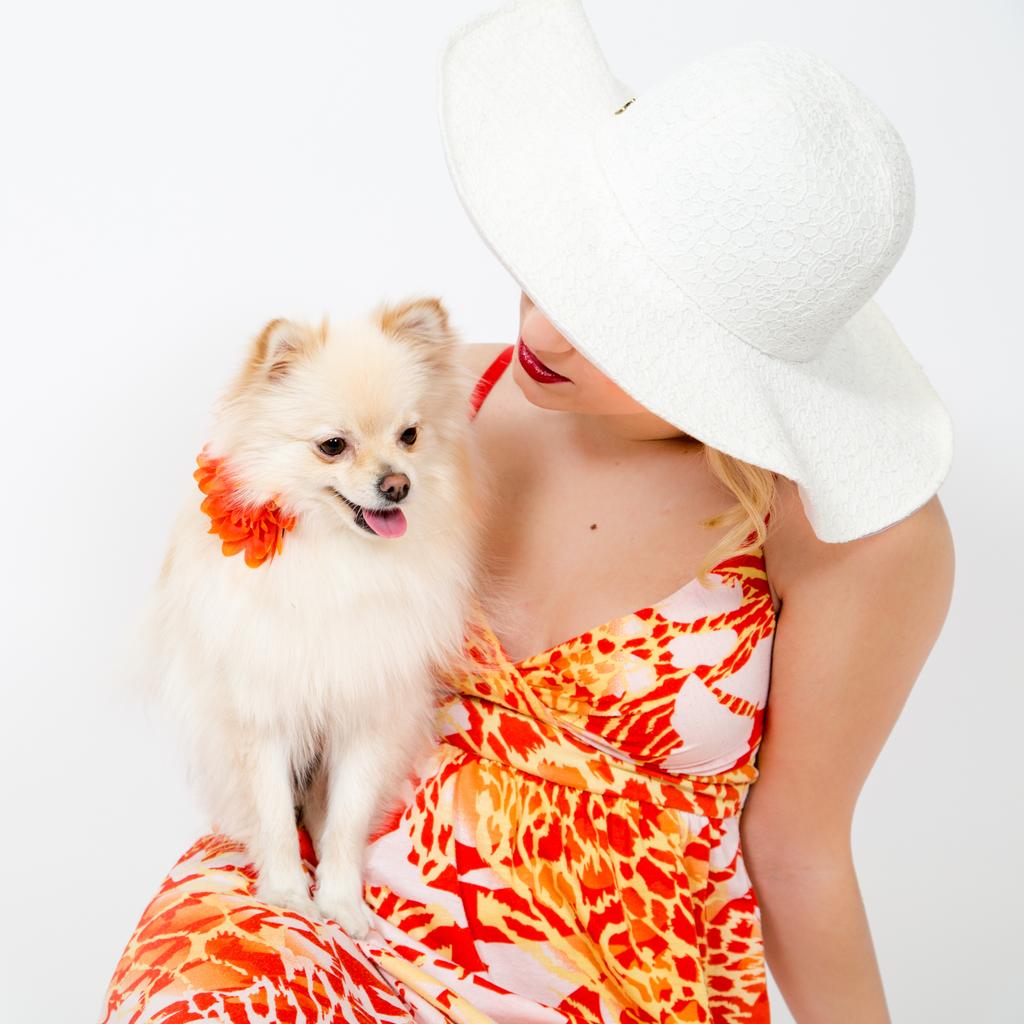 Girls4_Life's tweet photo. I have found the purest love in my dog; not the love she gives me, but rather the love I feel for her. http://t.co/cnwJdhHMhZ