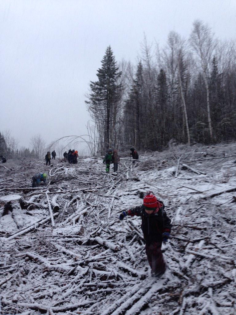1st Riverlake Beavers hiking a clearcut with <a href="/DarrenLFoster/">Darren Foster</a> at Winter Camp.