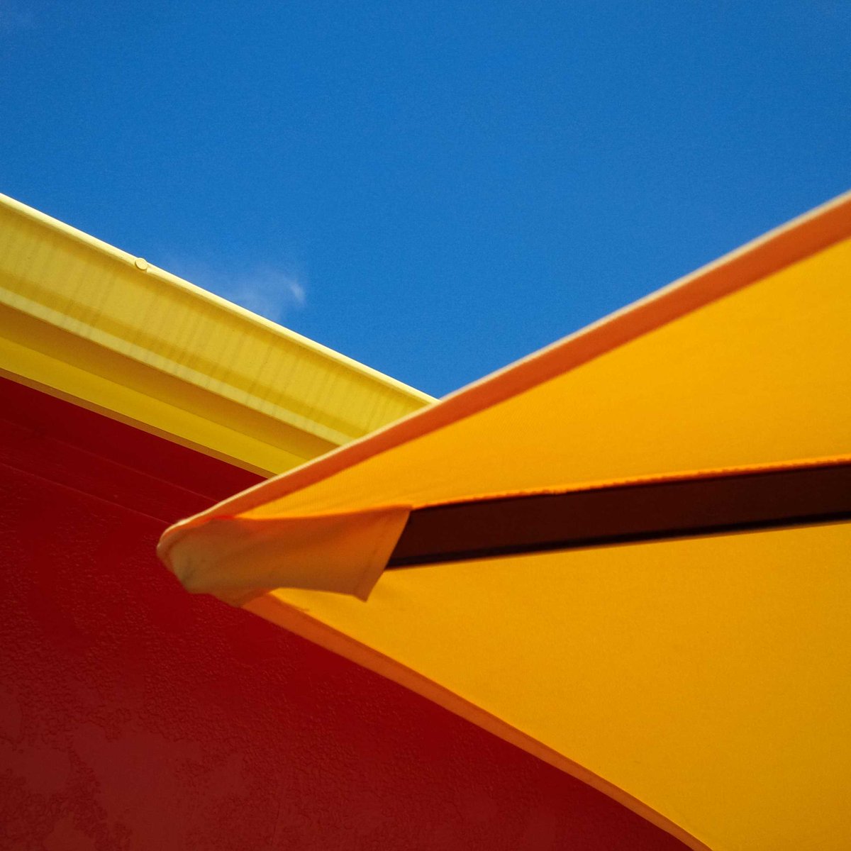 mauilou808's tweet photo. @yourtake.usatoday.com #useofcolor http://t.co/TSvcni2jFB