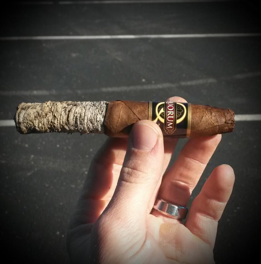 PltnmCigarBrkr's tweet photo. #thatash #thatashthough #Quorum #niceash http://t.co/wjTEJXvWiV