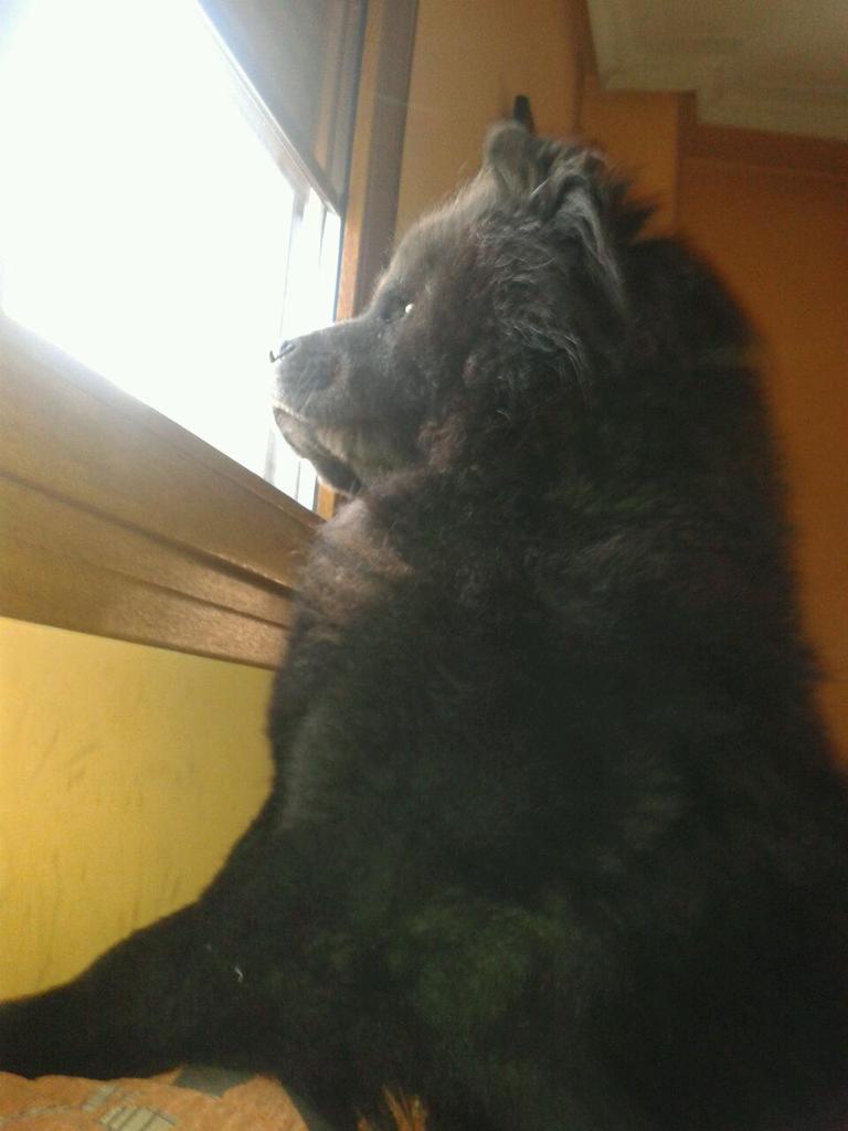 j_jg57's tweet photo. Pero como eres tan guapo!!! http://t.co/rfhv41YxDR