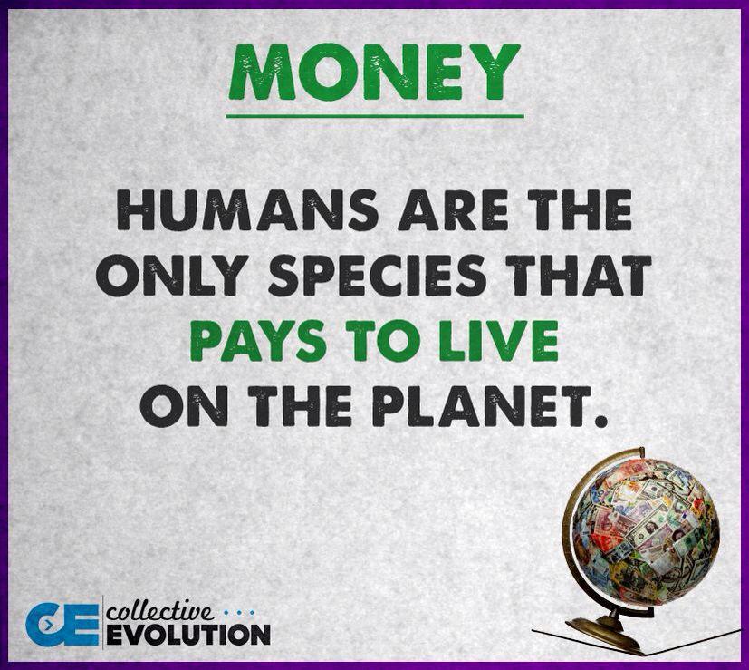 “<a href="/jojokejohn/">john lovethemtoyz</a>: Things to ponder ”