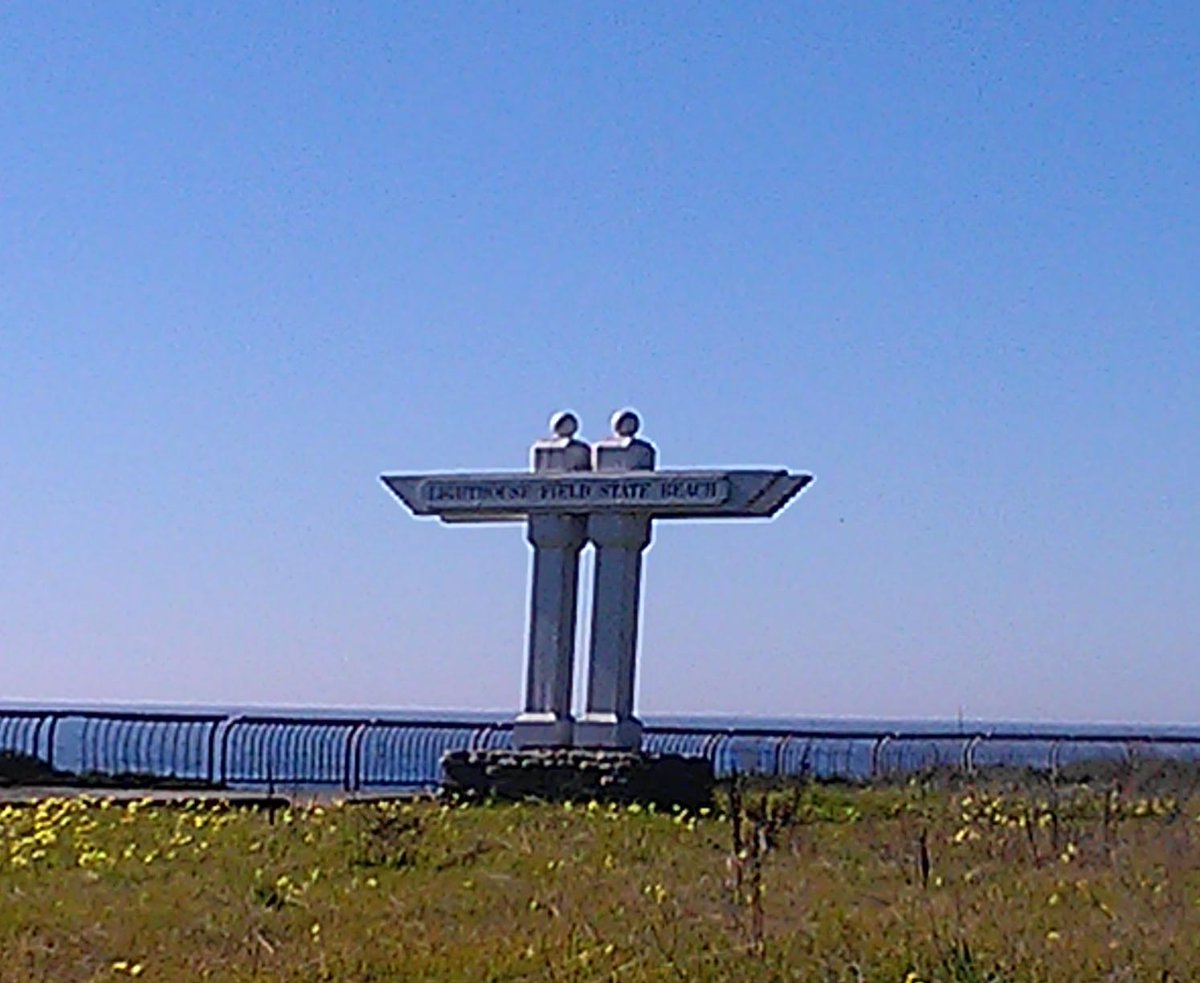 SaraParker411's tweet photo. Hawk atop tree in Lighthouse Field. #santacruz #lighthousefield http://t.co/oNq6p8ujvY
