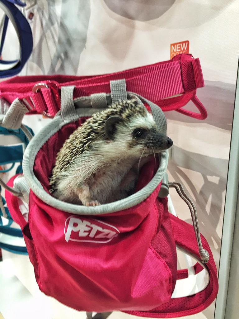 Frankie had fun at her first <a href="/OutdoorRetailer/">Outdoor Retailer</a> tradeshow! She's got a new mobile home thanks to <a href="/Petzl/">Petzl</a>.