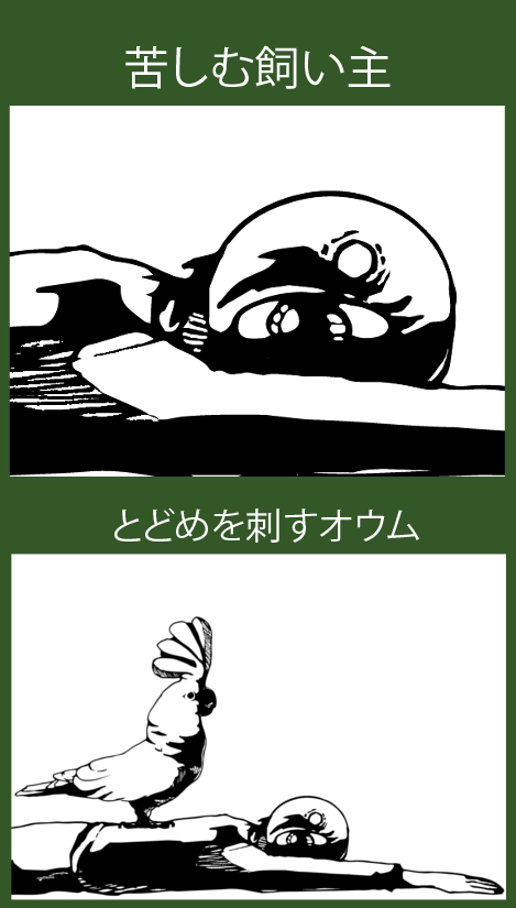 癒し・・・？ 