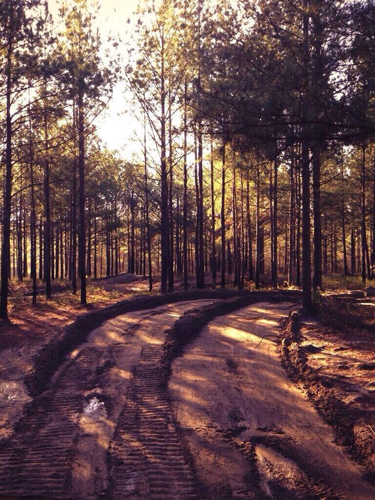 OutdoorObsessor tweet picture