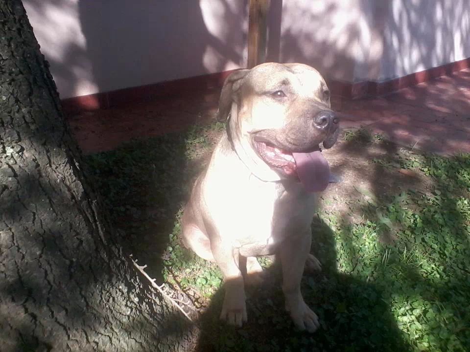 eloyvlc's tweet photo. http://t.co/3v6pHaexBX