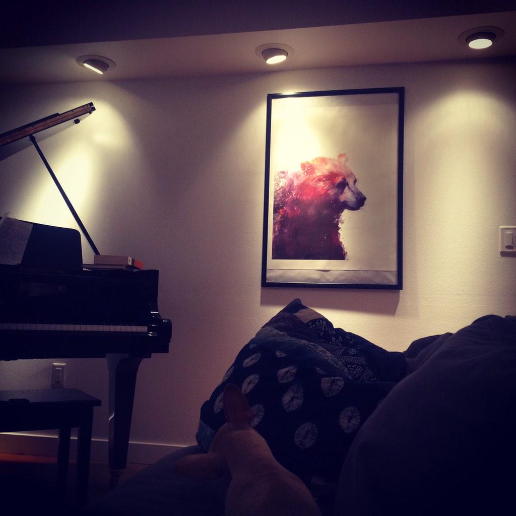 OwenBenjamin's tweet photo. My spirit animal. #colorfulbear http://t.co/w907fghAv2