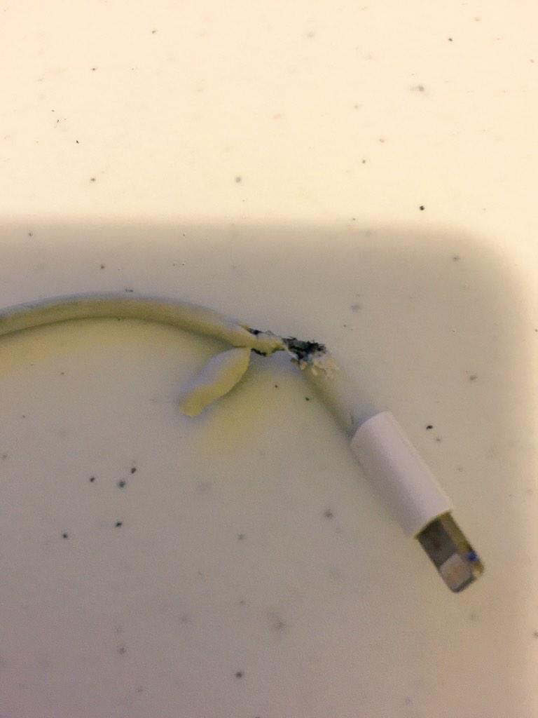 allenzcw's tweet image. @tim_cook hope #apple is aware of theirs defective charging cables. It almost burned down my house! #appleproblem
