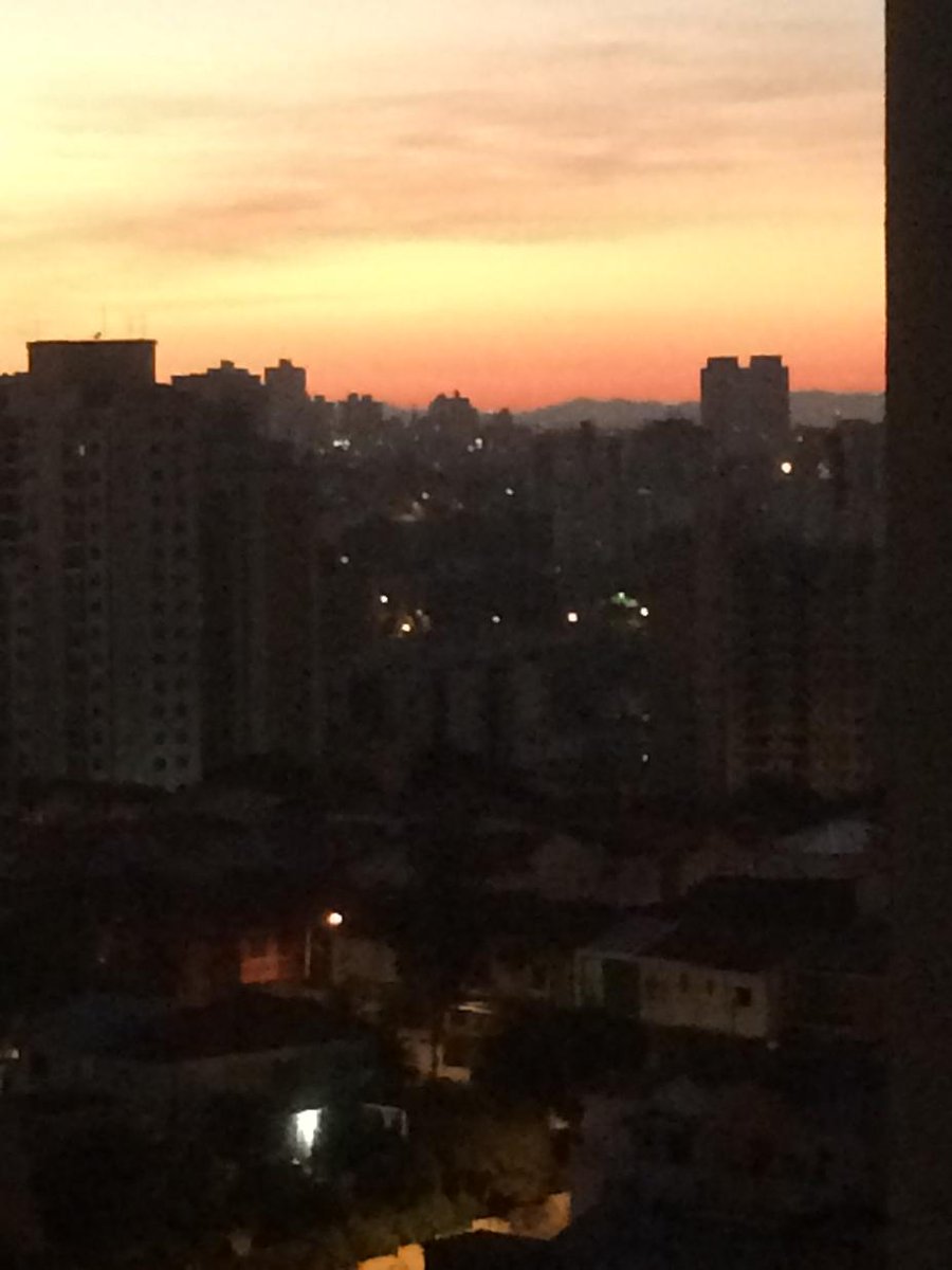 leonardo  favero tweet media