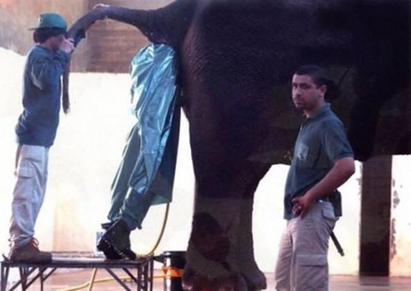 thandekan_10's tweet photo. Don't ever say your job sucks... http://t.co/Kd97uTLaKS