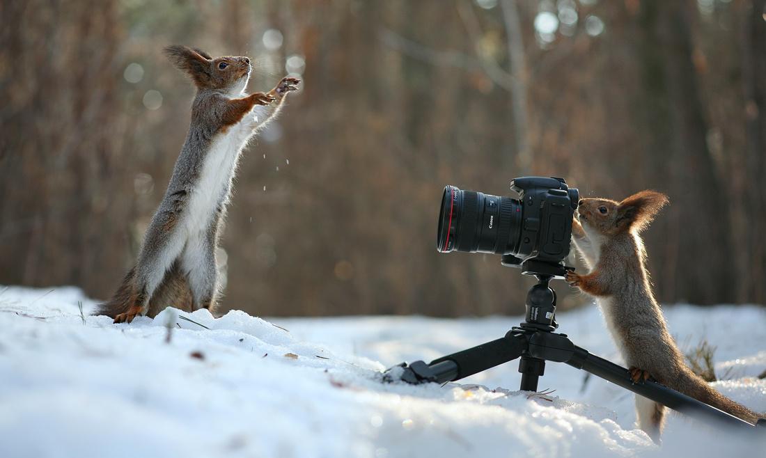 500px's tweet photo. Take A Photo by Vadim Trunov. Selected for #500pxEditorsChoice by @adrmurray: http://t.co/Xdujj95fSW http://t.co/7wQt5NACbl