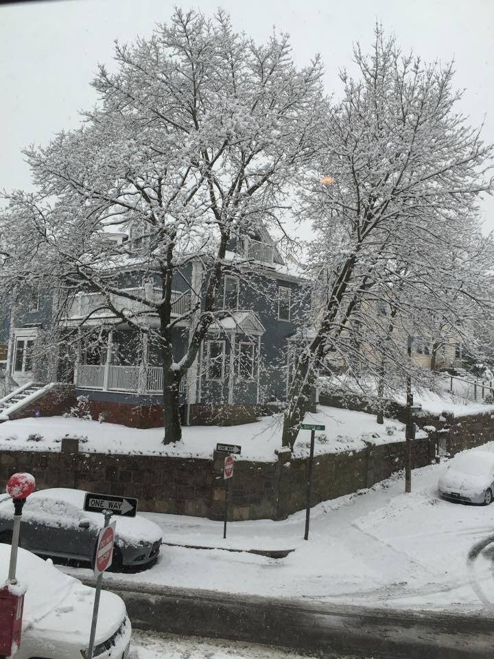 JonesHillAssoc's tweet photo. #joneshill in winter photos http://t.co/EGonmLjRSu