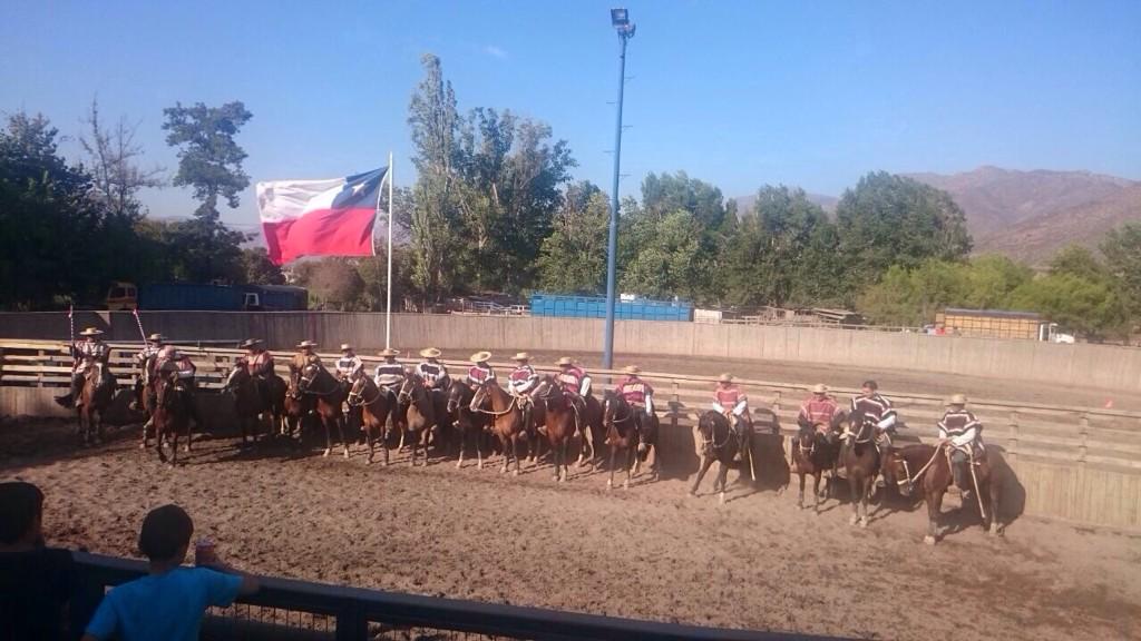 UAI_VINA's tweet photo. Excelente recepción Rodeo Federado Los Criollos en #Catemu organizado por alumnos @NegociosUAI @TemVina http://t.co/gVzghOWH8v