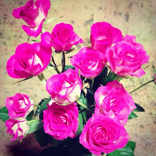 seia4021's tweet photo. ☆本日のお花☆
優しい香りのローズ。
全部ピンクでなくて根元が白いのがいい感じです。
#flowor #rose #pink http://t.co/8r3R3hQxjl