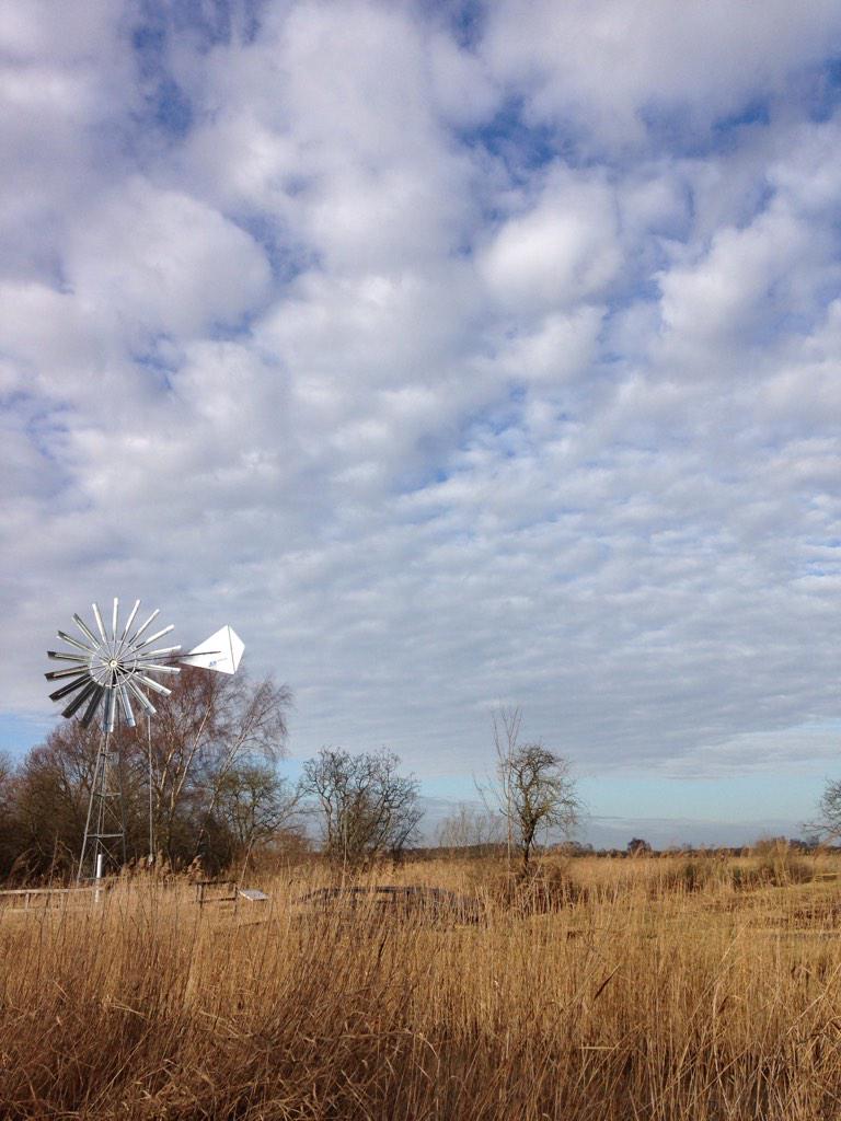 #dayvanning at #wickenfen. Big skies. <a href="/nationaltrust/">National Trust</a>