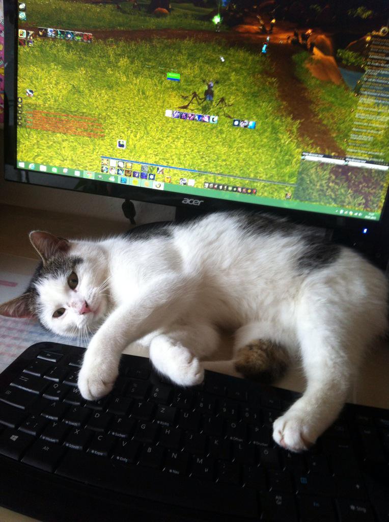 DriaPala's tweet photo. Gaming impossible http://t.co/IL1EBsnNw8