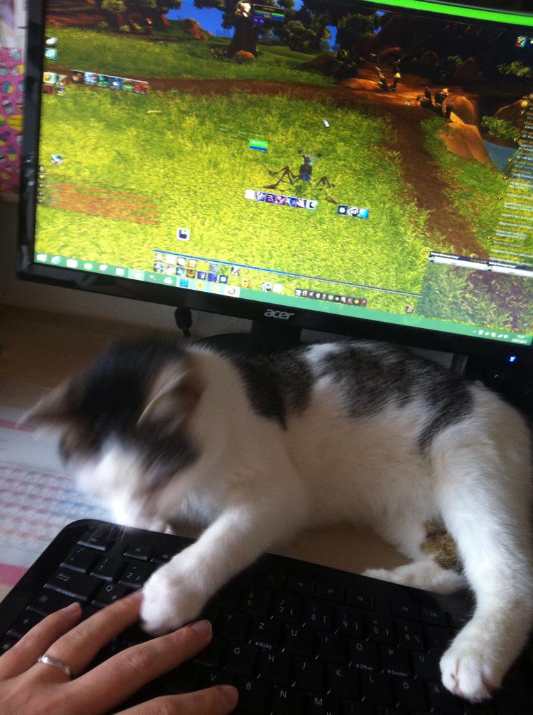 DriaPala's tweet photo. Gaming impossible http://t.co/IL1EBsnNw8