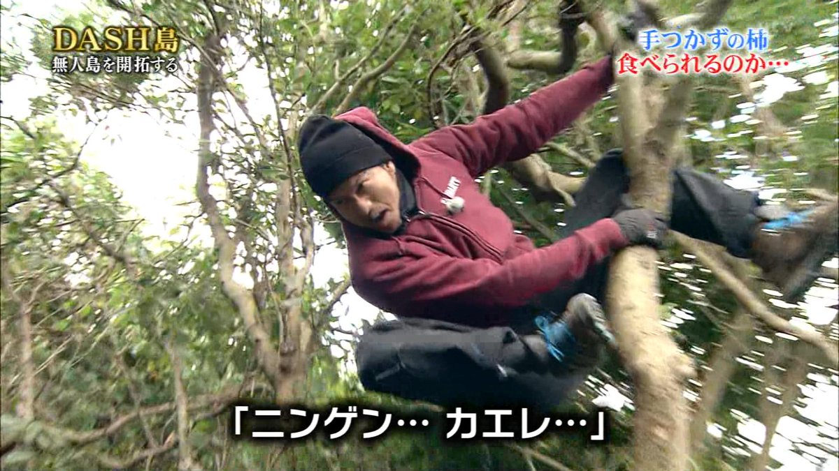 ふくち Di Twitter ニンゲン カエレ ｗ Http T Co Jgystpimsg