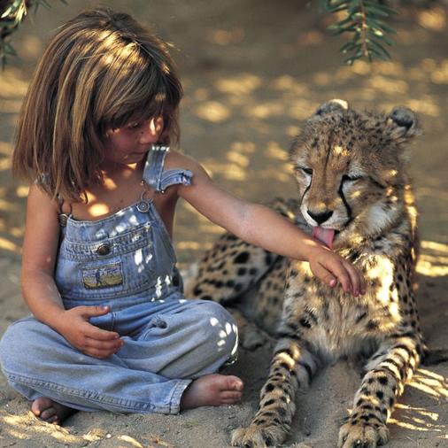 “I never knew of a morning in Africa when I woke up that I was not happy” -Ernest Hemingway #travel #roadtrip #Africa