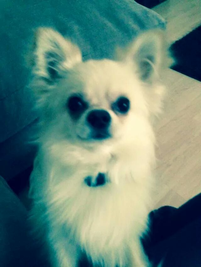 kacyjames2014's tweet photo. Loves him so much xxx http://t.co/lS1ZHdKzRf
