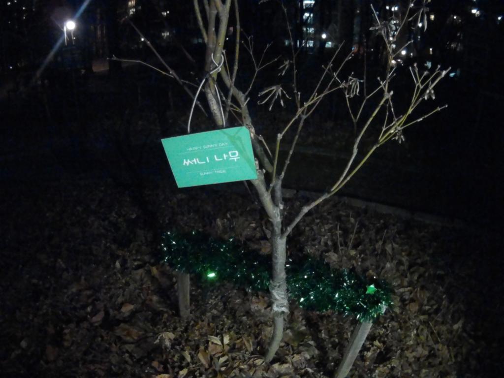 <Our Sunny Forest is in danger!>
If you notice anyone who has tread on flowers and enter Sunny Forest forcefully,