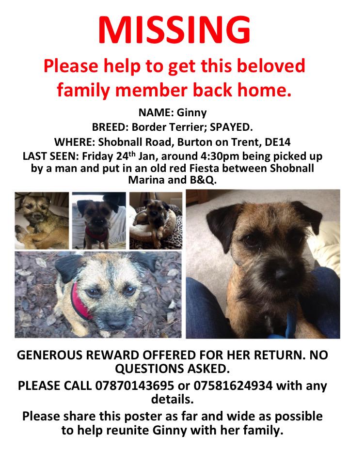 This is our account to try and bring Ginny home to her family.  She has been missing for 3 days now #FindGinny
