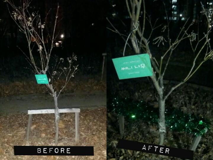 사진이 Before After 라는 사실을 모르는 분은 없겠죠..^0^ (구래도 혹시 모르니까..)