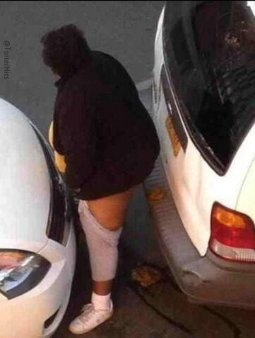 Cuando un Ave gigante se caga en tu coche.....