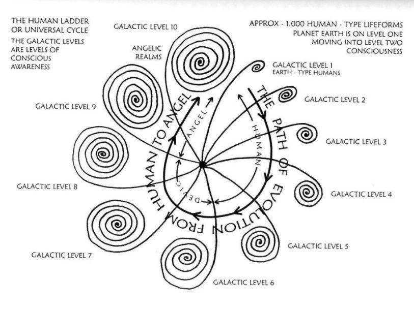 followyourvibes's tweet photo. The path of evolution from human to angel #universalcycle http://t.co/cbsOMOY6JX