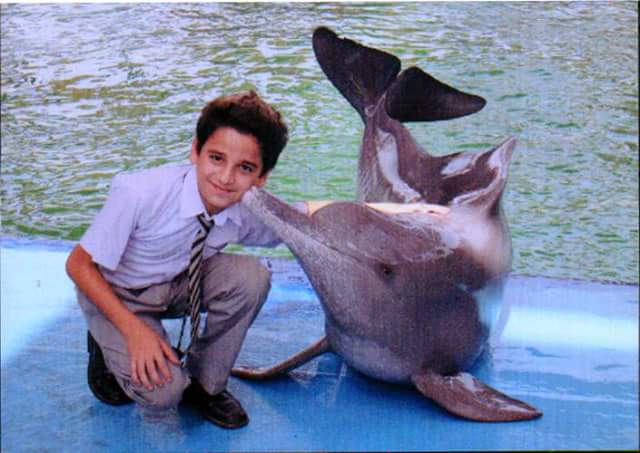 T_C_G_S's tweet photo. At Maritime museum.. Dolphin Show 👪🐟🐠 http://t.co/XMjUy7IqYW