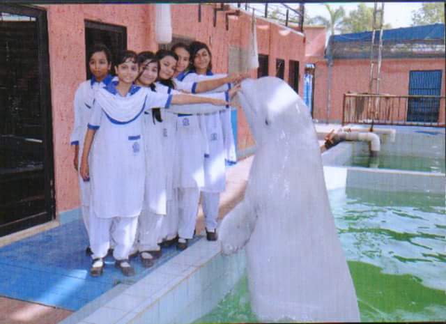 T_C_G_S's tweet photo. At Maritime museum.. Dolphin Show 👪🐟🐠 http://t.co/XMjUy7IqYW