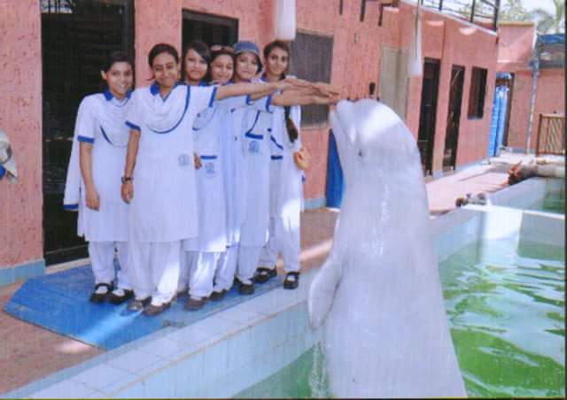 T_C_G_S's tweet photo. At Maritime museum 🐟🐳🐠🐡 Dolphin 🐬 Show http://t.co/KBVsGpkzHj