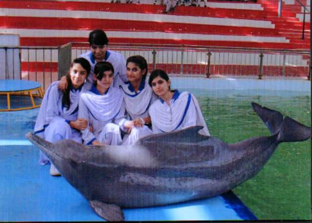 T_C_G_S's tweet photo. At Maritime museum 🐟🐳🐠🐡 Dolphin 🐬 Show http://t.co/KBVsGpkzHj
