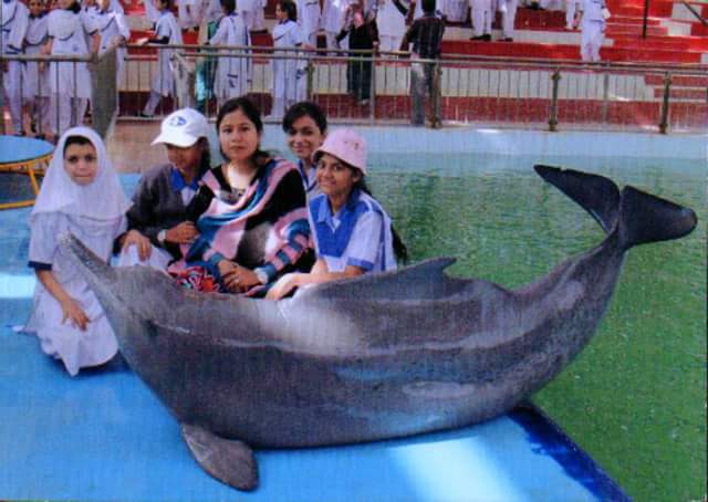 T_C_G_S's tweet photo. At Maritime museum 🐟🐳🐠🐡 Dolphin 🐬 Show http://t.co/KBVsGpkzHj
