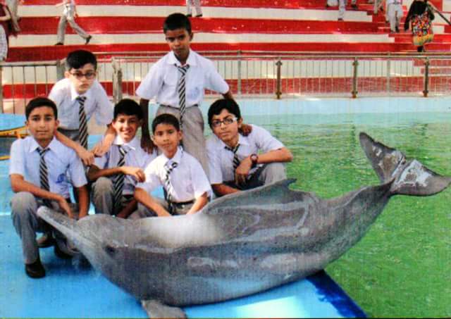 T_C_G_S's tweet photo. At Maritime museum 🐟🐳🐠🐡 Dolphin 🐬 Show http://t.co/KBVsGpkzHj