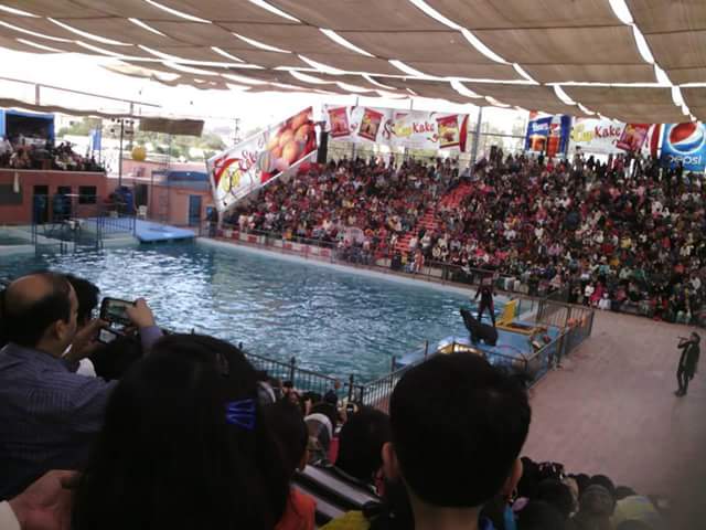 T_C_G_S's tweet photo. Students of class IV Blue at Maritime museum 🐬 http://t.co/Tnko9NCsjr