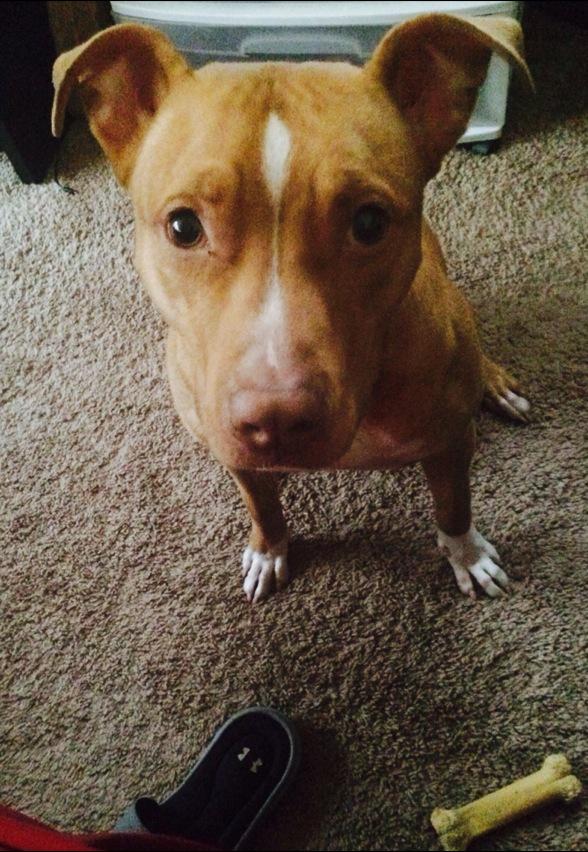 theNFLchick's tweet photo. S/O to #DjangoUnleashed for waking me up this morning 😐😐😐😐 http://t.co/zOVszHaIEb