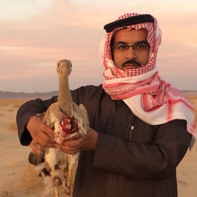 مختصر #عفيف

● صيد الحبارى / أبوثنتين
● قبل مغرب هذا اليوم شرق عفيف 

(<a href="/abothnten/">نايف عايض</a>)