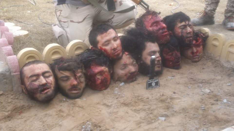 ali790354's tweet photo. مناويج أولاد الزن�� الخوارج هذا الأوزبكي القذر هيج اجه وشوف شلون عالجناهم http://t.co/XkCTX2ybIh