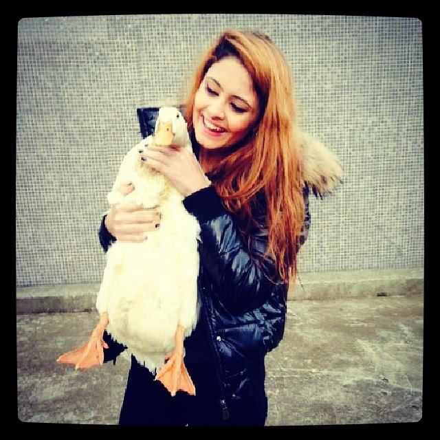 Allahım yaa benim bu hayvan sevgim nolucak :D