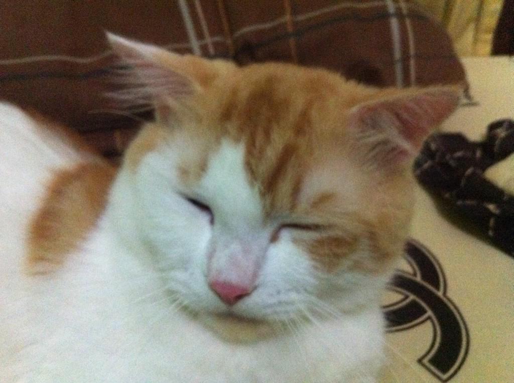 hari ini aku gak nakal loh 😁