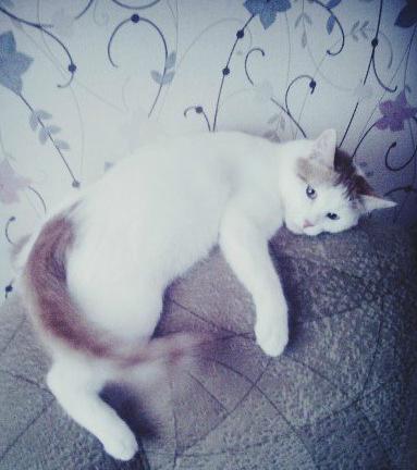 TurkaTany's tweet photo. Немного моего счастья *___* http://t.co/Bw8Yfz6pZm